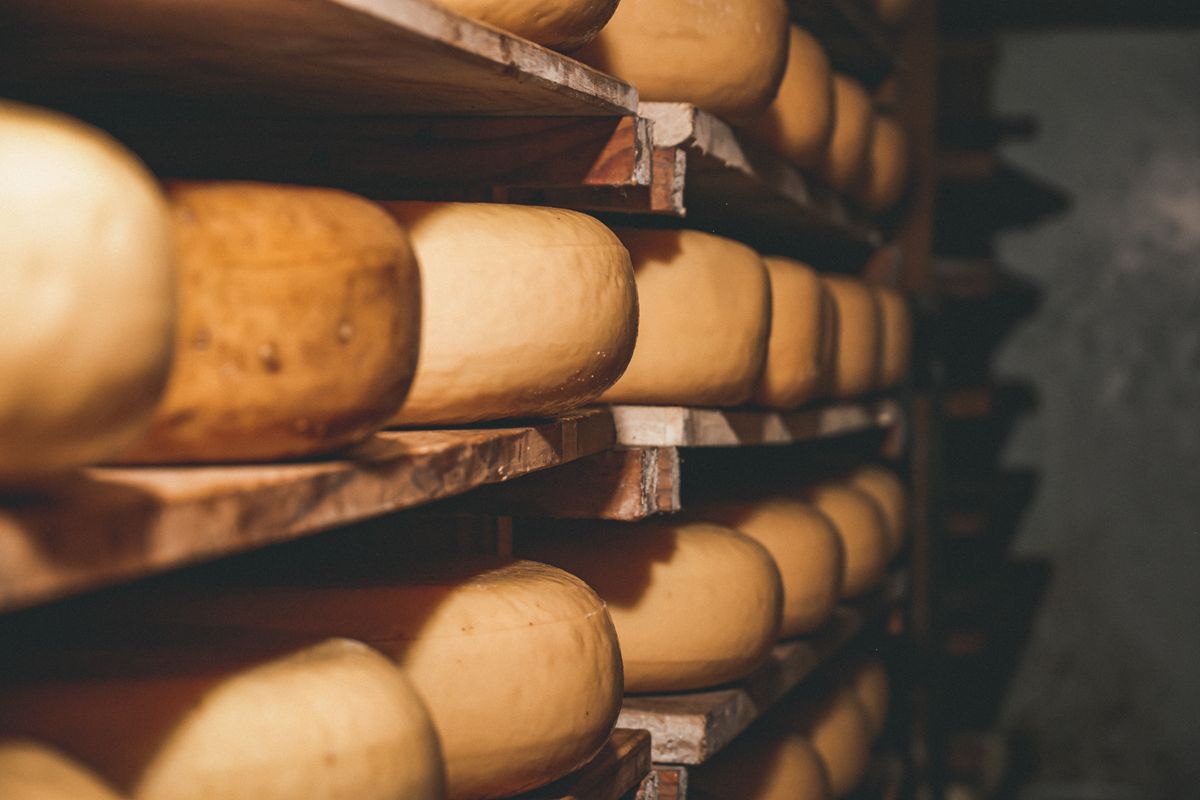 Fromagora 2026 : le palmarès des fromages de chèvre fermiers, de l'Ardèche aux Deux-Sèvres